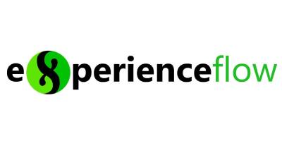 Experience flow.jpg