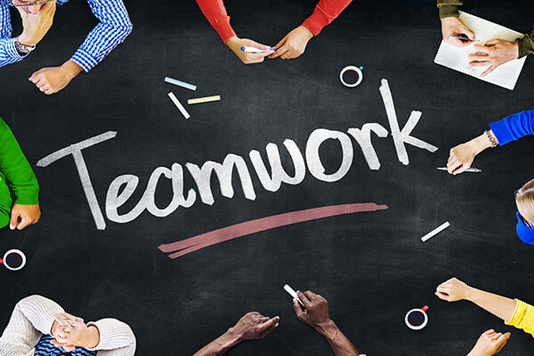 Team Building & Team Effectiveness (offsite)
